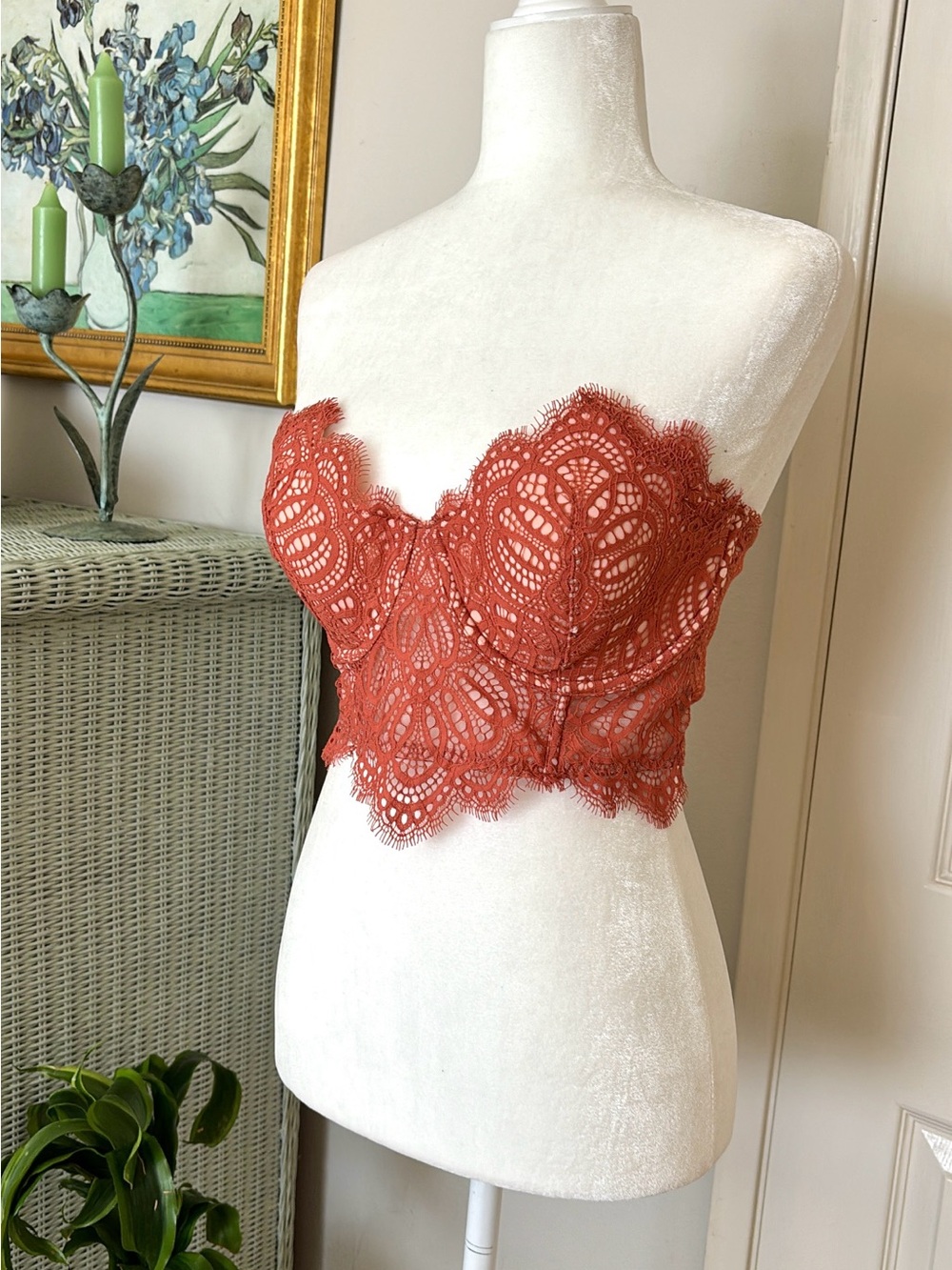 Victoria's Secret Lace Bustier Bralette in Terracotta- dream angels